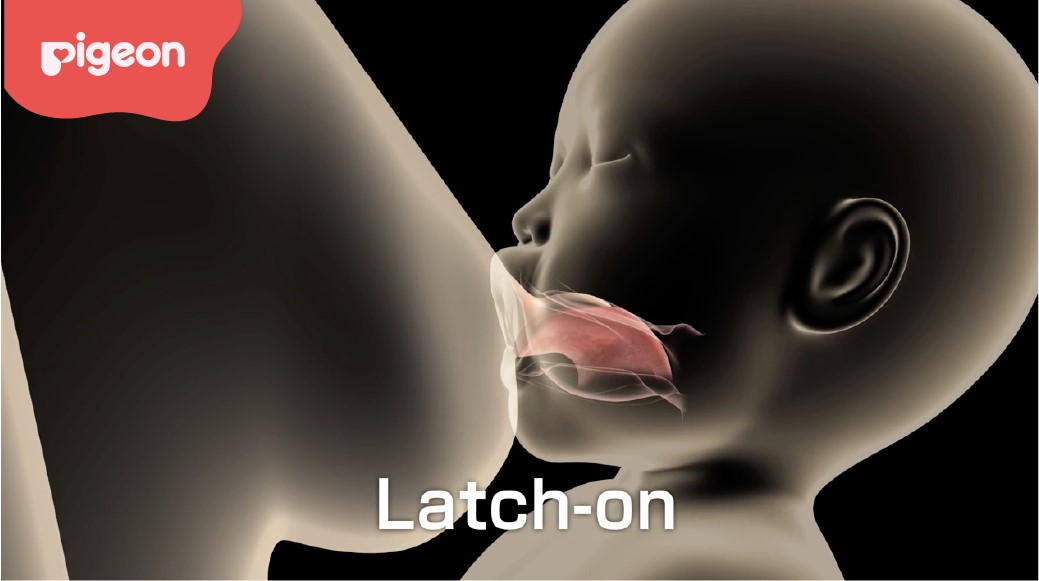 Latch-on